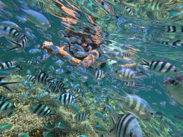 ★★ボートシュノーケル ♪ ＋3種目のチューブメニュー